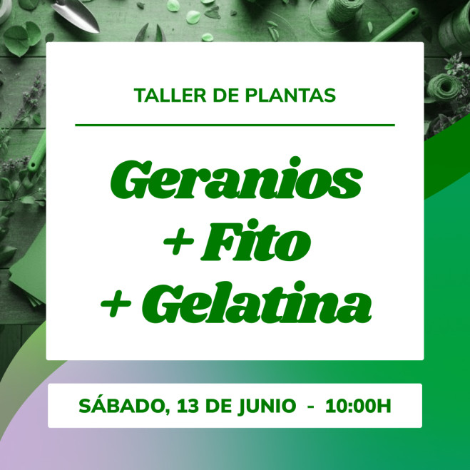 Taller de geranios | Planta, aprende cuidados y prepara tu balcón