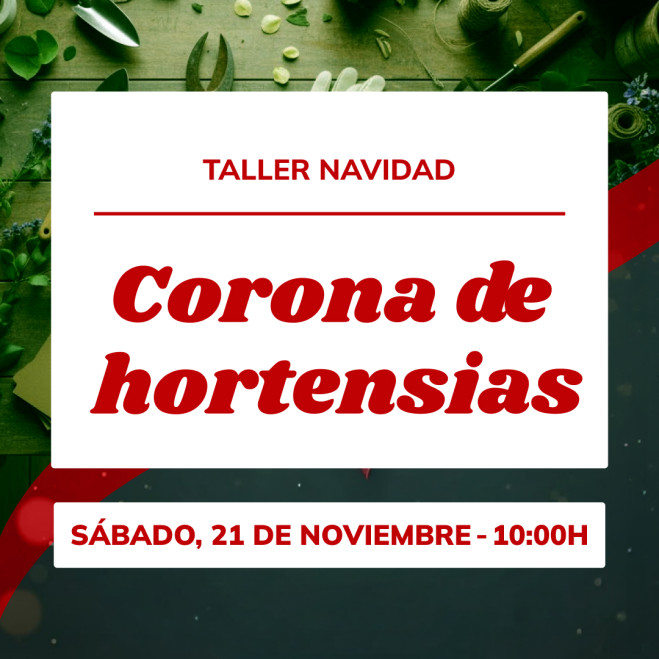 Taller corona de hortensias | Crea una decoración floral elegante