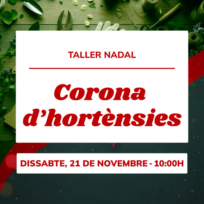 Taller corona de hortensias | Crea una decoración floral elegante