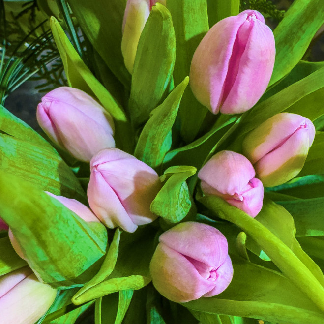 Mini jarrón de tulipanes amarillos – Decoración floral elegante