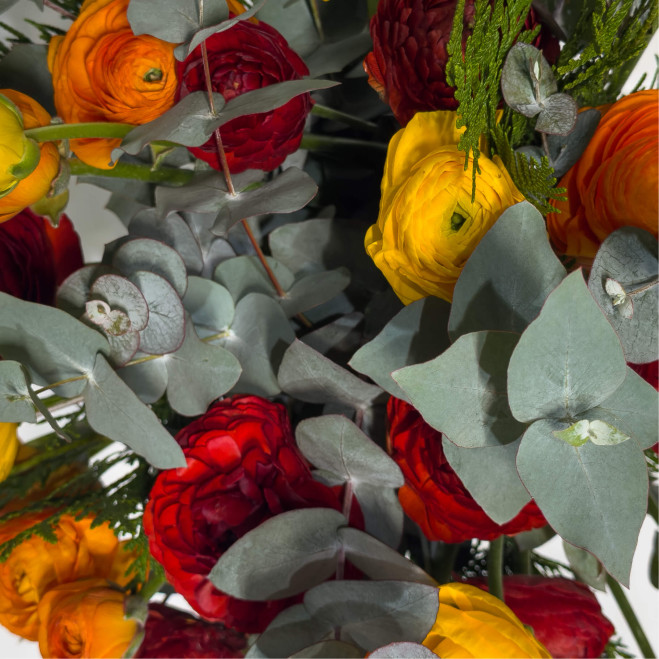 Ramo de ranúnculos en tonos cálidos – Color y elegancia natural