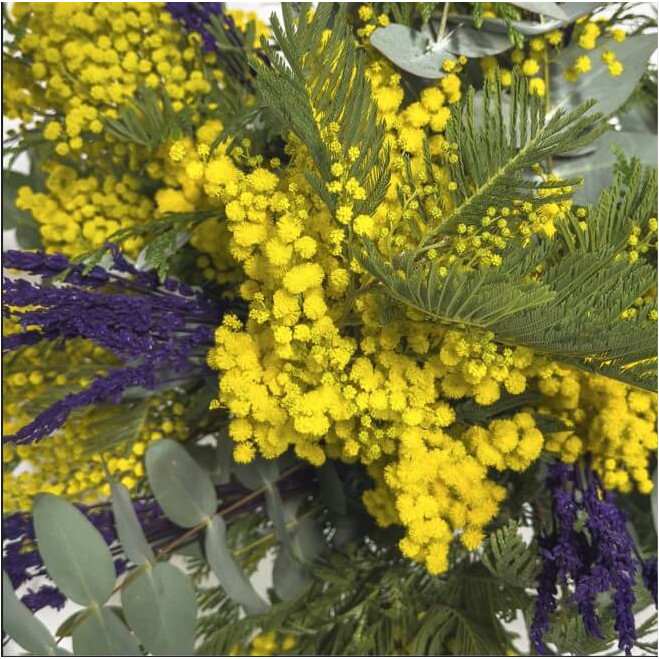 Ramo de mimosa y lavanda – Color, aroma y frescura natural