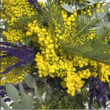Ramo de mimosa y lavanda – Color, aroma y frescura natural