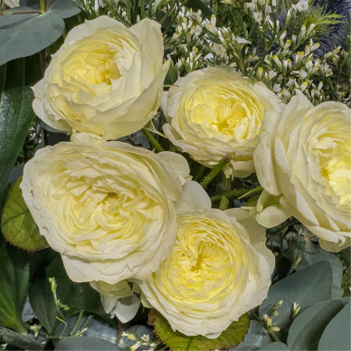 Jarrón invernal con rosas, lilium y lisianthus – Elegancia estacional 2