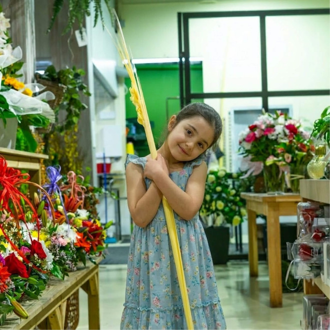 Comprar Punta adorno en Barcelona | PALMAS Y PALMONES