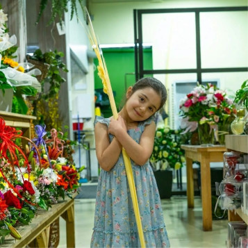 Comprar Punta adorno en Barcelona | PALMAS Y PALMONES