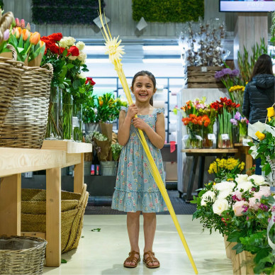 Comprar Mónago adorno a Barcelona | PALMES I PALMONS