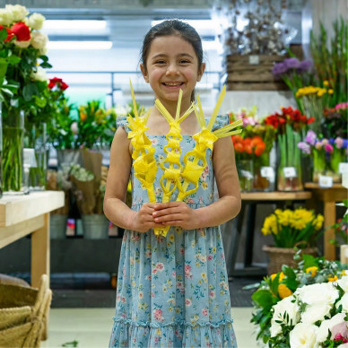 Comprar Palma llorer a Barcelona | PALMES I PALMONS