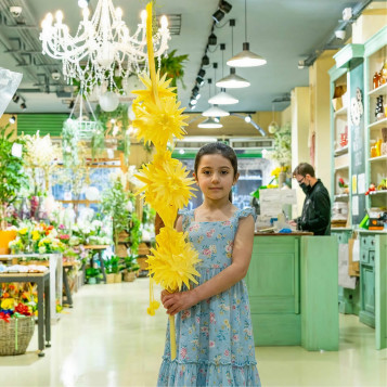 Comprar Palma 3 pisos a Barcelona | PALMES I PALMONS