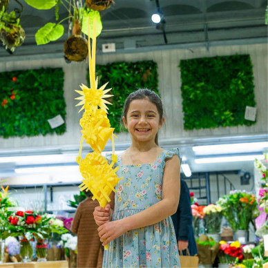 Comprar Palma 2 pisos a Barcelona | PALMES I PALMONS