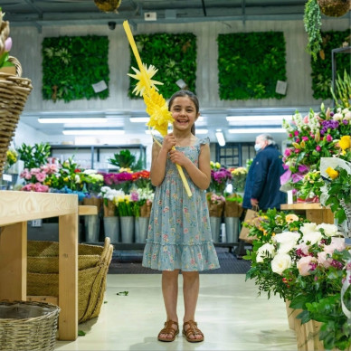 Comprar Palma 1 pis a Barcelona | PALMES I PALMONS