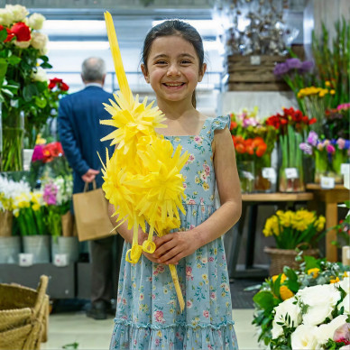 Comprar Aurora a Barcelona | PALMES I PALMONS