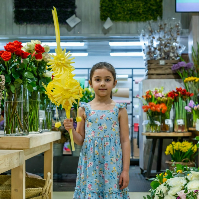 Comprar Boreal a Barcelona | PALMES I PALMONS