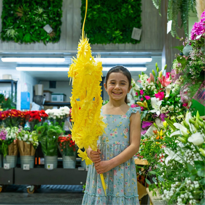 Comprar Imperial superior en Barcelona | PALMAS Y PALMONES