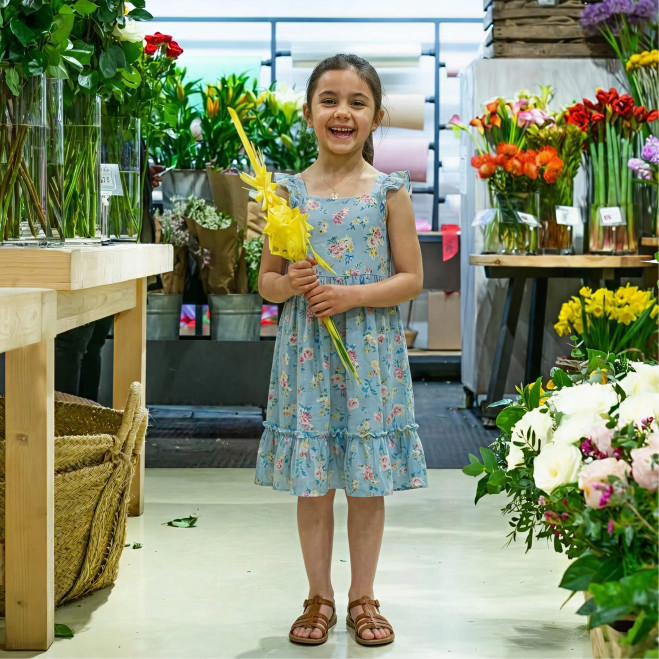 Comprar Laurel mediano en Barcelona | PALMAS Y PALMONES