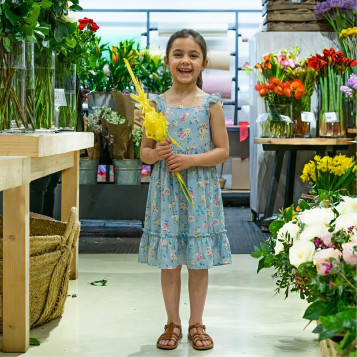 Comprar Laurel mediano en Barcelona | PALMAS Y PALMONES