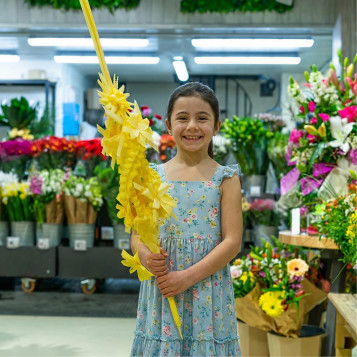 Comprar 2 pisos creuat a Barcelona | PALMES I PALMONS