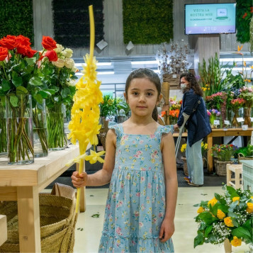 Comprar 2 pisos Mpleita a Barcelona | PALMES I PALMONS