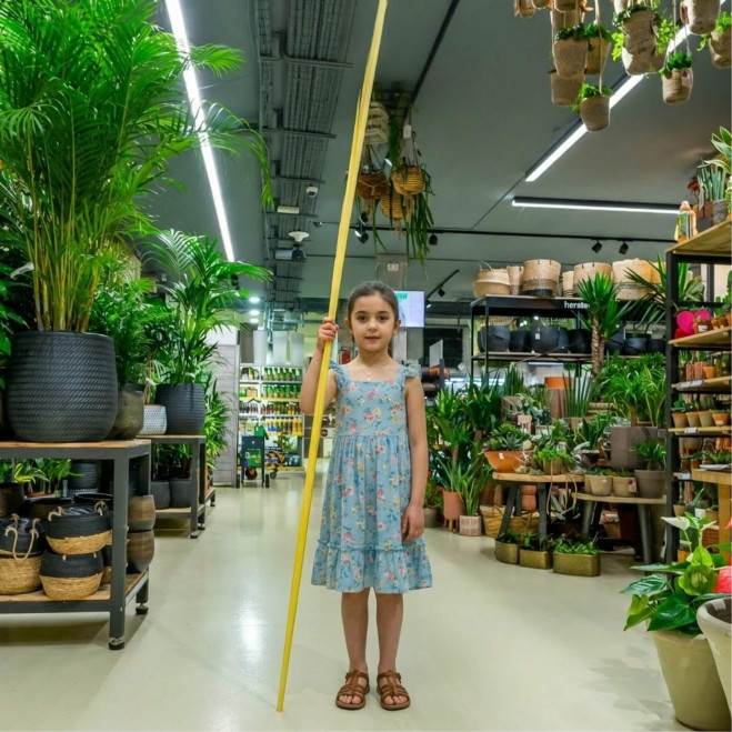 Comprar Princesa en Barcelona | PALMAS Y PALMONES