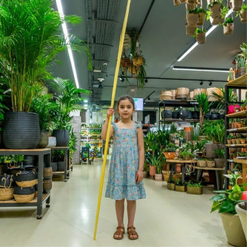 Comprar Princesa en Barcelona | PALMAS Y PALMONES