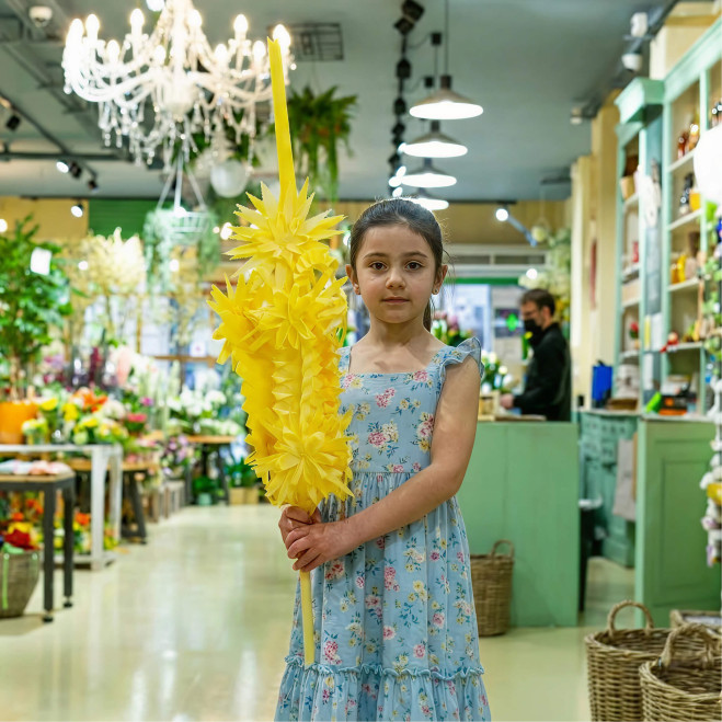 Comprar Reial a Barcelona | PALMES I PALMONS