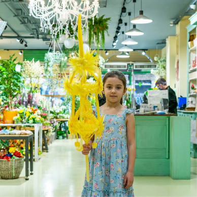 Comprar Il·lustre a Barcelona | PALMES I PALMONS