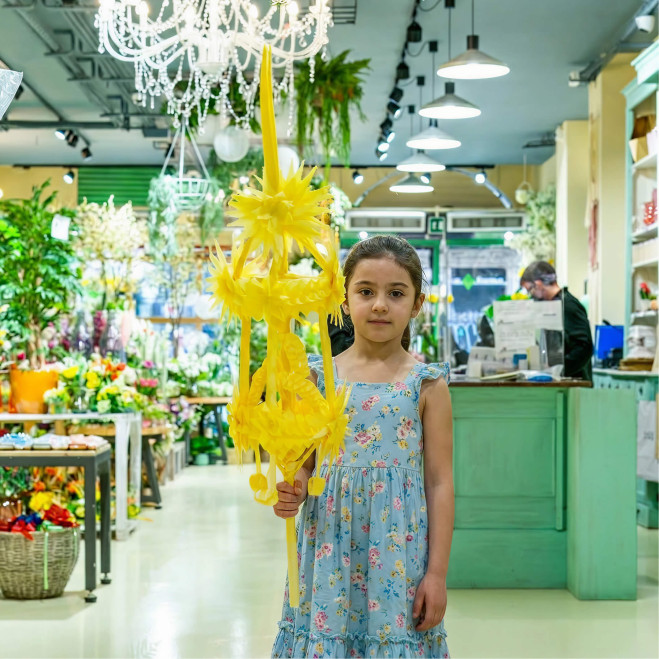 Comprar Il·lustre a Barcelona | PALMES I PALMONS