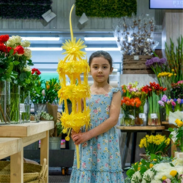 Comprar Imperial a Barcelona | PALMES I PALMONS