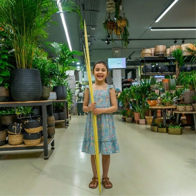 Comprar Monago curt a Barcelona | PALMES I PALMONS