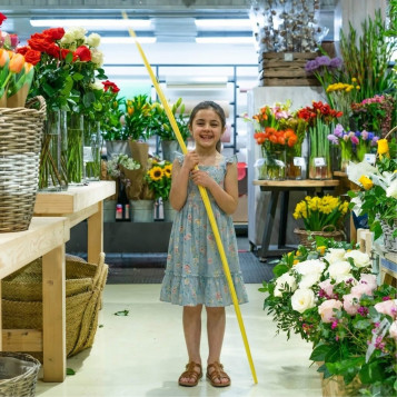 Comprar Monago llarg a Barcelona | PALMES I PALMONS