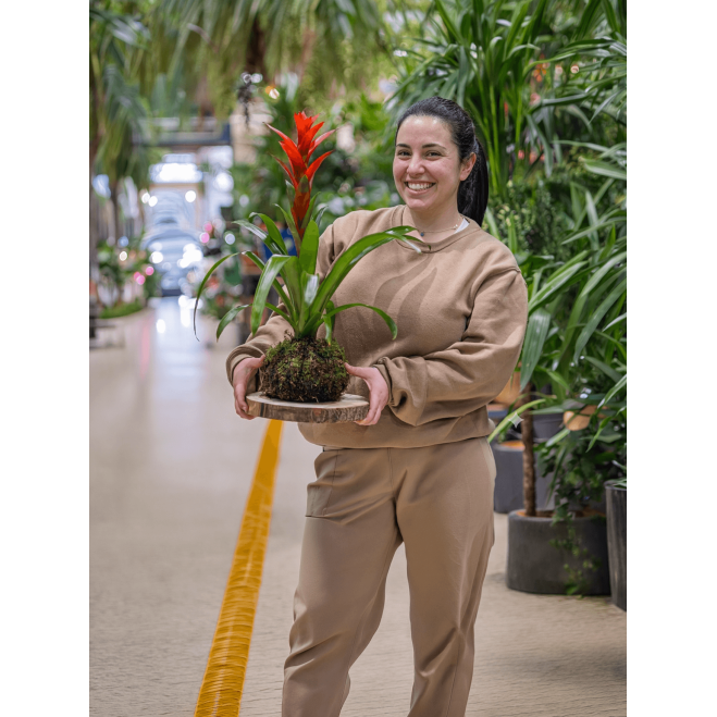 Taller de kokedama | Aprèn la tècnica japonesa pas a pas
