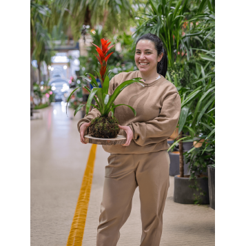 Taller de kokedama | Aprèn la tècnica japonesa pas a pas