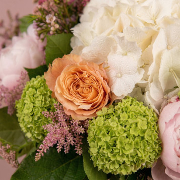 Caja Flor Deluxe | Flores Premium con Hortensia y Peonía en Barcelona | Flores Navarro