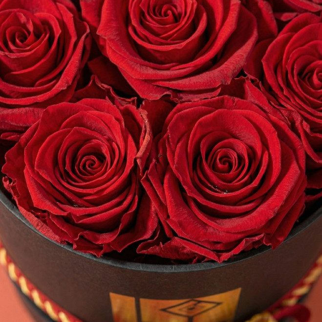 Caja de 9 rosas rojas preservadas con lazo de senyera | Regalo Sant Jordi