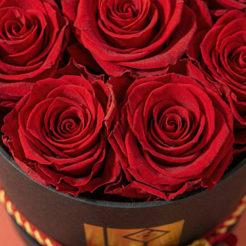 Caja de 9 rosas rojas preservadas con lazo de senyera | Regalo Sant Jordi