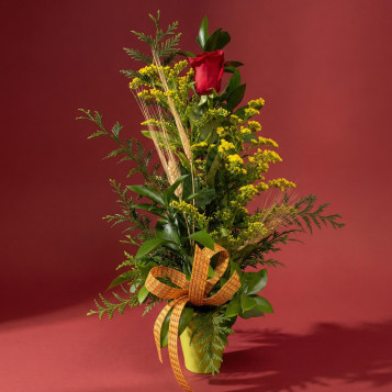 Cilindro con rosa roja y lazo de senyera | Regalo original Sant Jordi