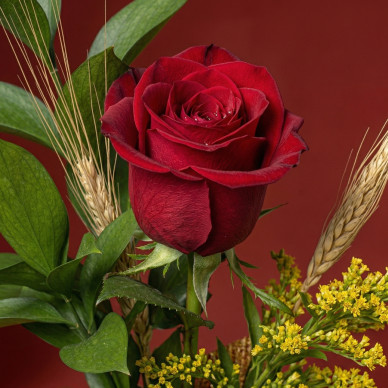 Cilindro con rosa roja y lazo de senyera | Regalo original Sant Jordi 2