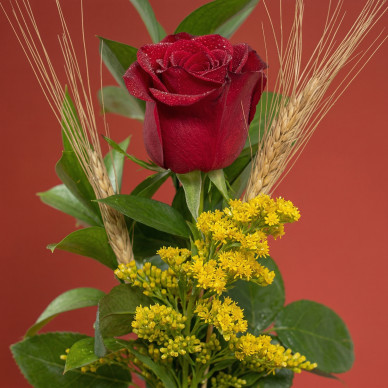 Rosa roja en base cuadrada de madera | Regalo elegante Sant Jordi 2