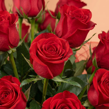 Compra Preciosa Composició de 80 Roses Vermelles a Barcelona | Centres de Flors