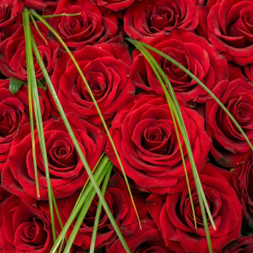 Compra Corazón de Rosas en Barcelona | Flores para Difuntos