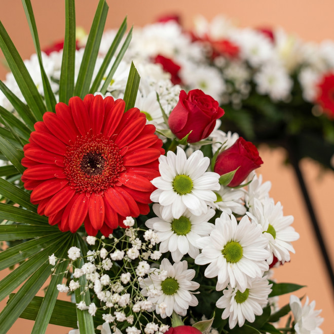 Comprar Corona Anémona en blancos y rojos en Barcelona | Coronas