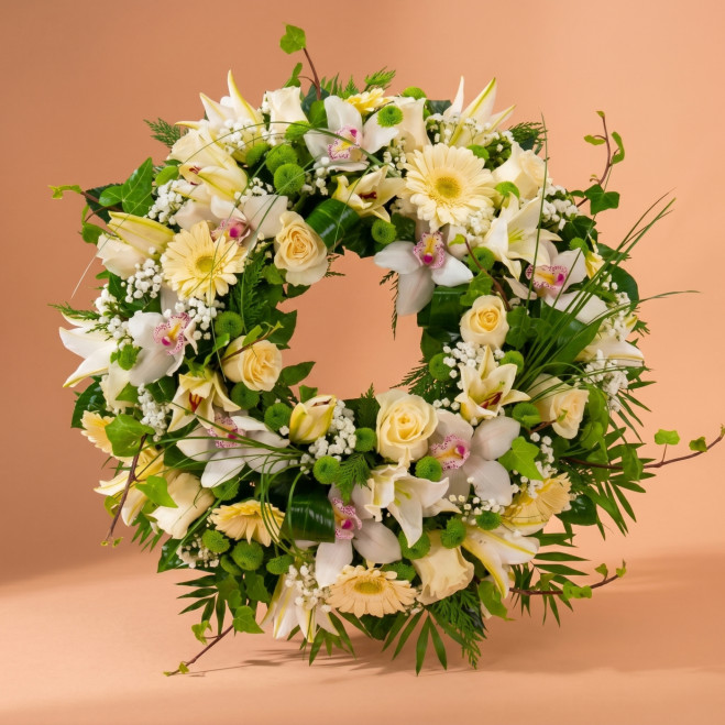 Comprar Coronita flor blanca en Barcelona | Inicio