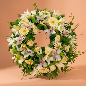 Comprar Coronita flor blanca en Barcelona | Inicio