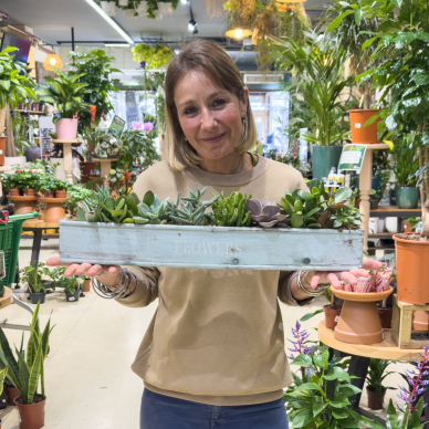 Taller de plantas crasas | Diseña tu propia composición decorativa 2