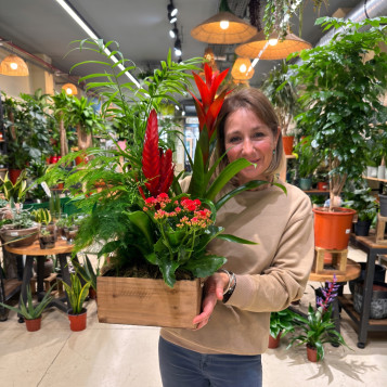 Comprar Selva en Casa en Barcelona | FLORES DÍA DE LA MADRE