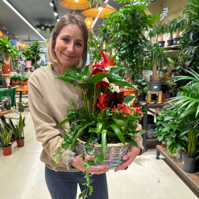 Comprar Passió Natural a Barcelona | FLORS DIA DE LA MARE