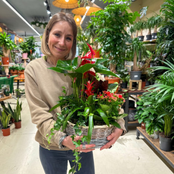 Comprar Passió Natural a Barcelona | FLORS DIA DE LA MARE