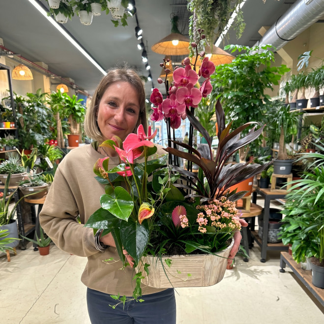 Comprar Encant Rosa a Barcelona | FLORS DIA DE LA MARE