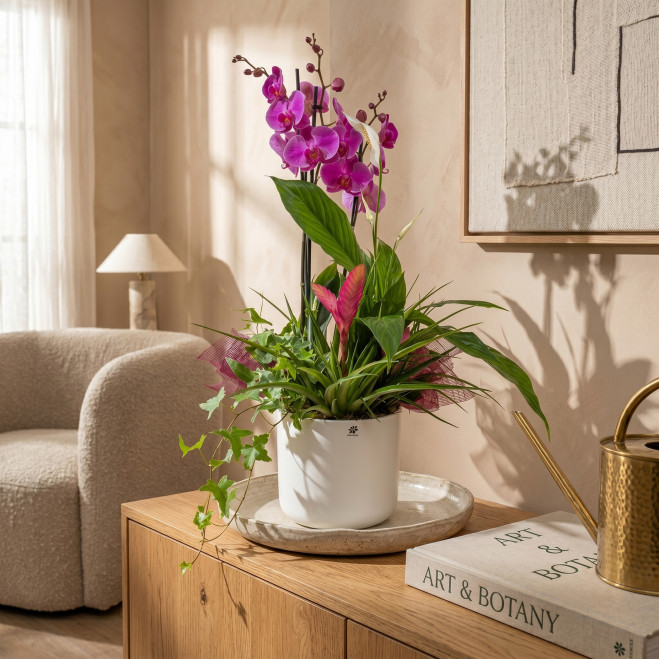 Comprar Composición Exótica en Cerámica en Barcelona | Grupos de Plantas