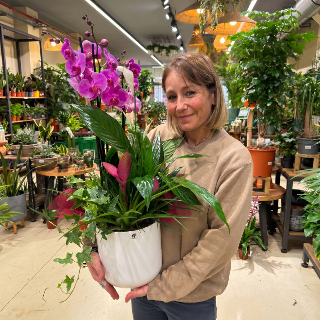 Comprar Composición Exótica en Cerámica en Barcelona | Grupos de Plantas